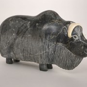 Cover image of Muskox